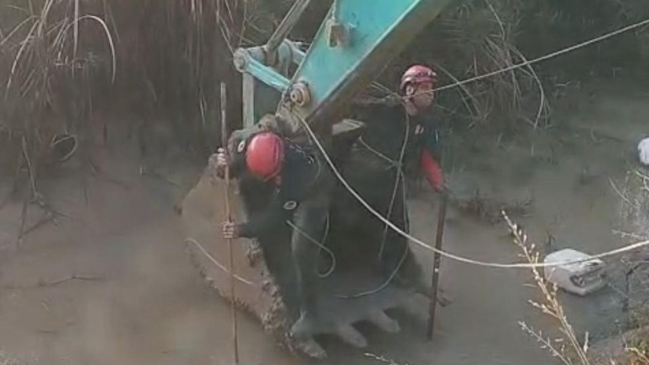 Adana'da feci olay! Dereye düşen çocuklardan biri hayatını kaybetti