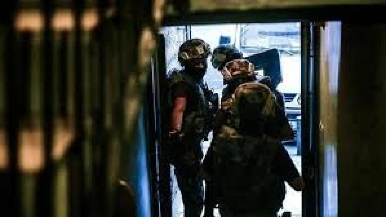 Mardin’de ele geçirildi: Tam 620 adet!