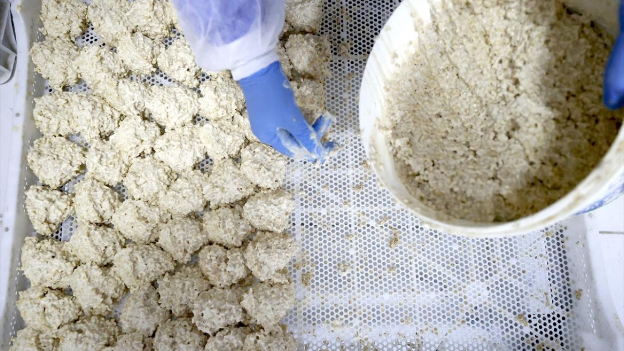 Osmanlı'dan gelen 81 yıllık sır! Bir sıkımı bir öğüne bedel...