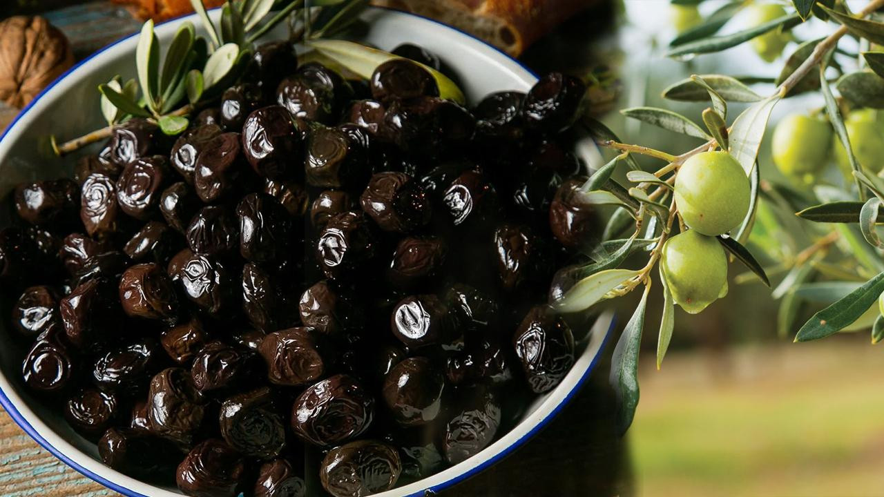 Zeytin Çekirdeğinin Sağlık İçin Önemi